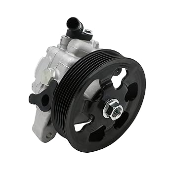 Amazon.com: Chefull Power Steering Pump 21-5419 with Pulley